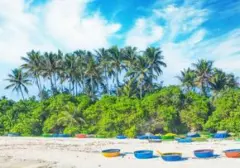 Turis China Tegur Keras Usai Motornya Melindas Situs Batu Purba di Bali