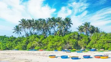 Turis China Tegur Keras Usai Motornya Melindas Situs Batu Purba di Bali