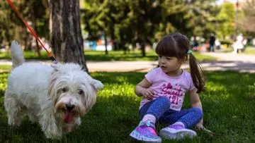 Atasi Fobia Anjing pada Anak: 6 Strategi Ampuh untuk Orang Tua