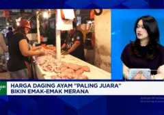 Harga Daging Ayam Melambung, "Emak-emak" Keluhkan Beban Belanja Kian Berat