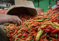 Studi Terbaru Ungkap Manfaat Konsumsi Cabai: Potensi Tingkatkan Harapan Hidup
