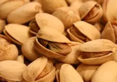 Pistachio vs. Kacang Arab: Mengenal Perbedaan Nutrisi dan Manfaat Keduanya