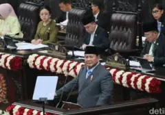 Prabowo Targetkan PLTS 100 GW, Tiap Desa Ideal 1 MW untuk Penuhi Kebutuhan Energi Nasional