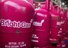 Resmi! Pertamina Pangkas Harga LPG 5,5 Kg dan 12 Kg Mulai 15 Agustus 2026
