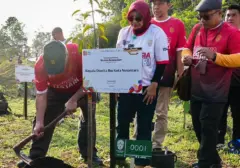 Menteri Basuki Bersama Ribuan Peserta Pecahkan Rekor MURI Tanam 1.708 Pohon di IKN