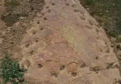 Jejak Kaki Dinosaurus 150 Juta Tahun Ungkap Kemungkinan Kehidupan Pincang