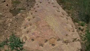 Jejak Kaki Dinosaurus 150 Juta Tahun Ungkap Kemungkinan Kehidupan Pincang