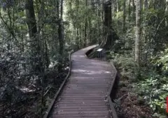 Australia Perluas Jaringan Taman Nasional: Hadirkan Fasilitas Hiking dan Camping Baru