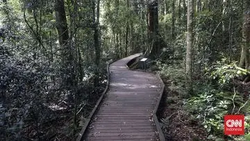 Australia Perluas Jaringan Taman Nasional: Hadirkan Fasilitas Hiking dan Camping Baru