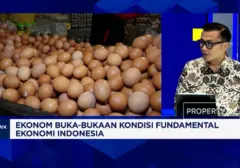 Dorong Pertumbuhan Ekonomi Lebih Kencang, Ekonom Ingatkan Pemerintah Perlu Lakukan Langkah Ini