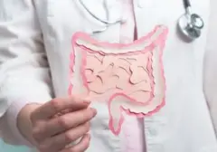 7 Makanan Enzimatik Rekomendasi Dokter Harvard untuk Kesehatan Usus