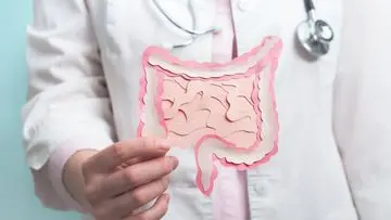 7 Makanan Enzimatik Rekomendasi Dokter Harvard untuk Kesehatan Usus