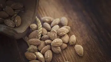 6 Pilihan Kacang Unggulan untuk Diet Sehat, Kaya Protein dan Serat