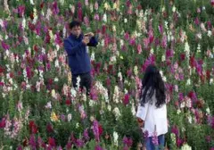Cinta Tak Harus Berisik: Mengenali Pasangan yang Menunjukkan Kasih Sayang Lewat Tindakan