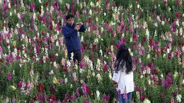 Cinta Tak Harus Berisik: Mengenali Pasangan yang Menunjukkan Kasih Sayang Lewat Tindakan