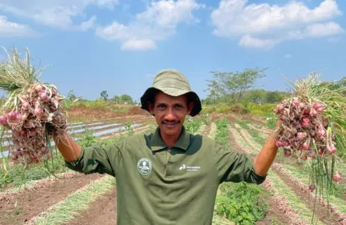 Pertamina Hadirkan Solusi Pemberdayaan Petani Boyolali Hadapi Musim Kemarau