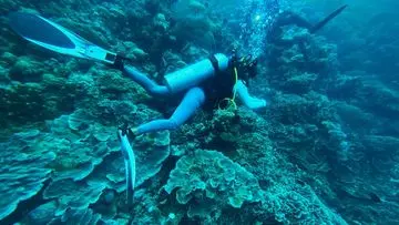 Ledakan Bom Ikan di Laut Indonesia: Ancaman Konstan Terumbu Karang