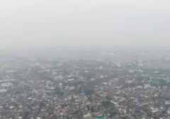 Kabut Asap Karhutla Ancaman Serius bagi Kesehatan Mata: Gejala dan Langkah Perlindungan