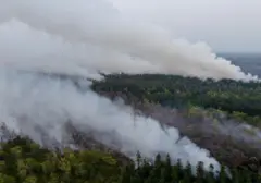 Mengungkap Akar Masalah Kebakaran Hutan Kalimantan: Faktor Lingkungan dan Manusia Jadi Sorotan Peneliti