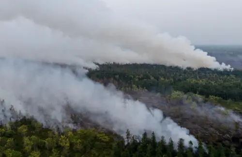 Mengungkap Akar Masalah Kebakaran Hutan Kalimantan: Faktor Lingkungan dan Manusia Jadi Sorotan Peneliti