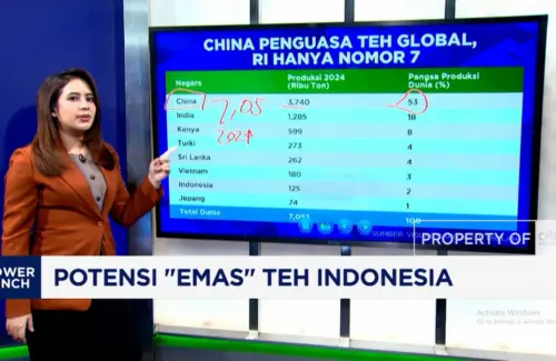 Mengenal Potensi Emas Teh Indonesia: Peluang Besar di Pasar Global