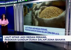 Laut Hitam Memanas: Ancaman Krisis Gandum Global Akibat Konflik