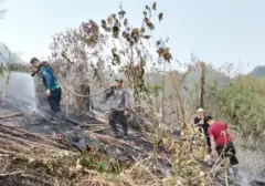 Prediksi BMKG: Kapan Hujan Meredakan Kebakaran Hebat di Kalimantan?