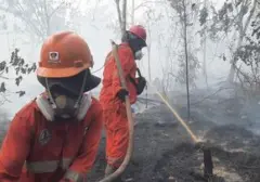 Titik Panas Karhutla di Kalimantan Menurun, Ancaman Kebakaran Hutan Tetap Mengintai