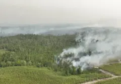 Menko Airlangga Ungkap Upaya Penanganan Kebakaran Hutan Kalimantan: Koordinasi dan Mitigasi Jadi Kunci