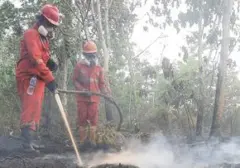 66.679 Warga Kalteng Terjangkit ISPA Akibat Kabut Asap Karhutla