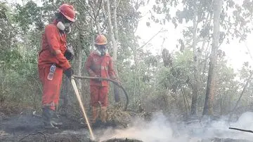 66.679 Warga Kalteng Terjangkit ISPA Akibat Kabut Asap Karhutla