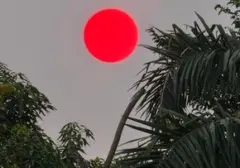 Matahari Merah di Langit Palangka Raya: Fenomena Kabut Asap Karhutla