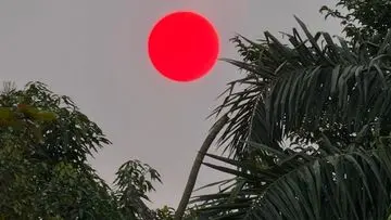 Matahari Merah di Langit Palangka Raya: Fenomena Kabut Asap Karhutla