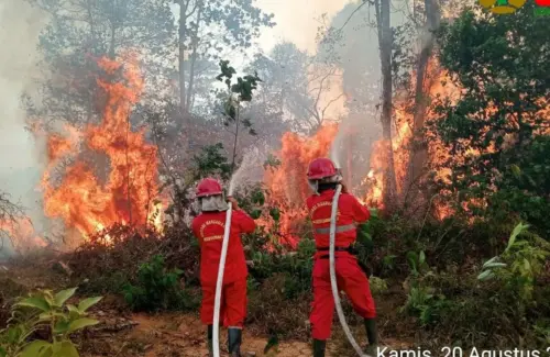 Kalimantan Membara: 1.842 Titik Panas Terdeteksi, Kalimantan Tengah Paling Parah