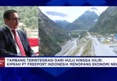 Bocoran Bos Freeport: Smelter dan Masa Depan Cerah Tambang PTFI Menanti
