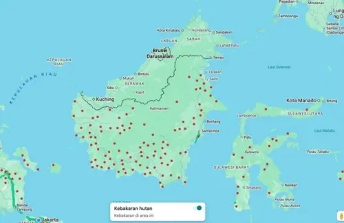 Pantau Kebakaran Hutan dari Jarak Jauh: 3 Cara Cek Online, Termasuk via Google Maps