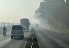 Bahaya Asap Karhutla: Ancaman Serius Bagi Kesehatan Pernapasan dan Organ Tubuh Lainnya