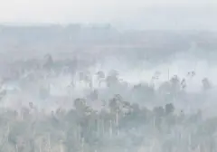 Kebakaran Lahan Meluas Capai 8.900 Hektare, Kabut Asap Selimuti Langit Dekat Bandara