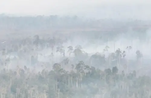 Kebakaran Lahan Meluas Capai 8.900 Hektare, Kabut Asap Selimuti Langit Dekat Bandara