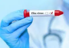 Kemenkes Bantah Kemenkes Bantah Kasus Zika di Bali Pasca Peringatan CDC AS