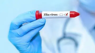 Kemenkes Bantah Kemenkes Bantah Kasus Zika di Bali Pasca Peringatan CDC AS