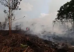 Faktor Lingkungan Picu Sulitnya Pengendalian Kebakaran Hutan Kalimantan