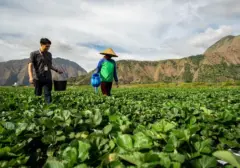 Obligasi Sosial Berkelanjutan BRI Raih Apresiasi Bergengsi Tingkat Asia Pasifik