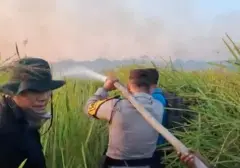 Kebakaran Hutan dan Lahan di Way Kambas Berhasil Dipadamkan Berkat Respons Cepat 200 Personel Gabungan