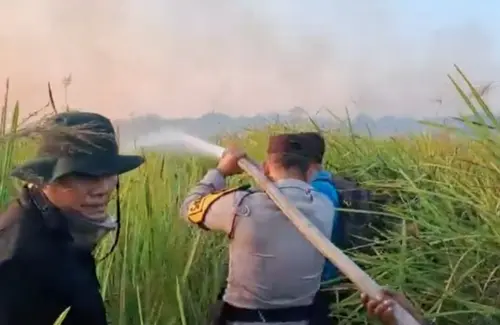 Kebakaran Hutan dan Lahan di Way Kambas Berhasil Dipadamkan Berkat Respons Cepat 200 Personel Gabungan