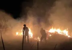 Tiga Juta Warga Terkena Dampak Asap Karhutla, Kemenkes Kirim Tim Medis dan Ingatkan Gejala ISPA