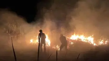 Tiga Juta Warga Terkena Dampak Asap Karhutla, Kemenkes Kirim Tim Medis dan Ingatkan Gejala ISPA