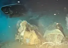 Peneliti Ungkap Perilaku Unik Hiu Tidur Pasifik di Laut Cina Selatan