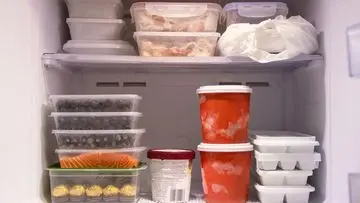 Trik Cerdas Gunakan Koin di Freezer Sebelum Mudik, Solusi Ampuh Jaga Kualitas Makanan