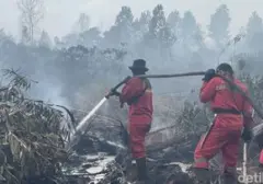 Pantau Karhutla: 3 Metode Cek Kebakaran Hutan untuk Masyarakat